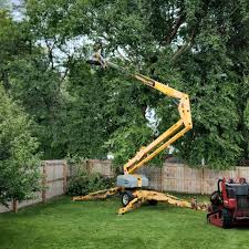 Best Seasonal Cleanup (Spring/Fall)  in Gibbstown, NJ
